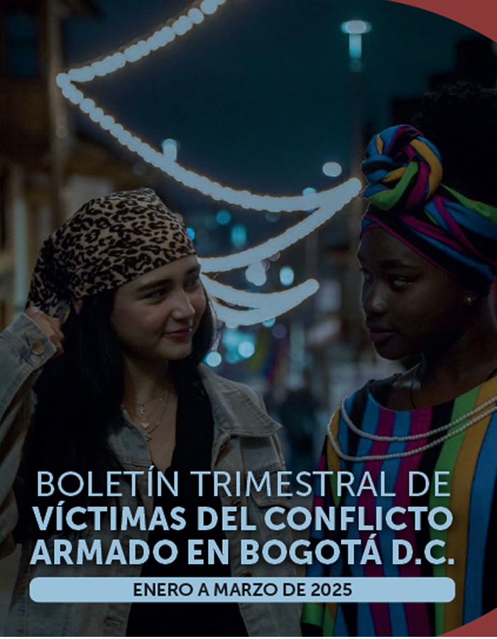 Cuántas víctimas somos en Bogotá