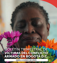 Boletín Trimestral Víctimas del Conflicto Armado Ubicadas en Bogotá