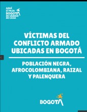 Ficha sobre población negra, afrocolombiana, raizal y palenquera víctima del conflicto armado